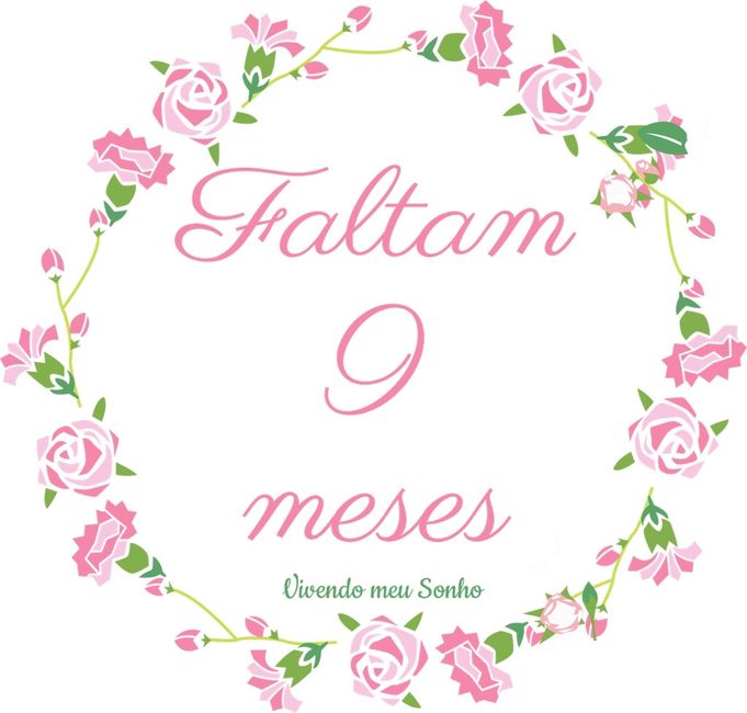 Faltam 9 meses - 1