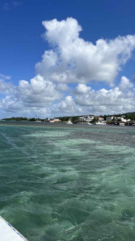 Lua de Mel - Jamaica (sugestão) - 2