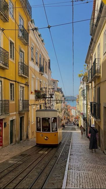 Noivos que se casam em 17 de Julho de 2027 em Lisboa (concelho) - 1