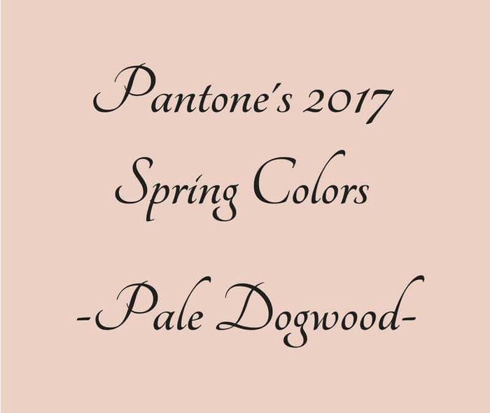Inspiração - cor pale dogwood - 1