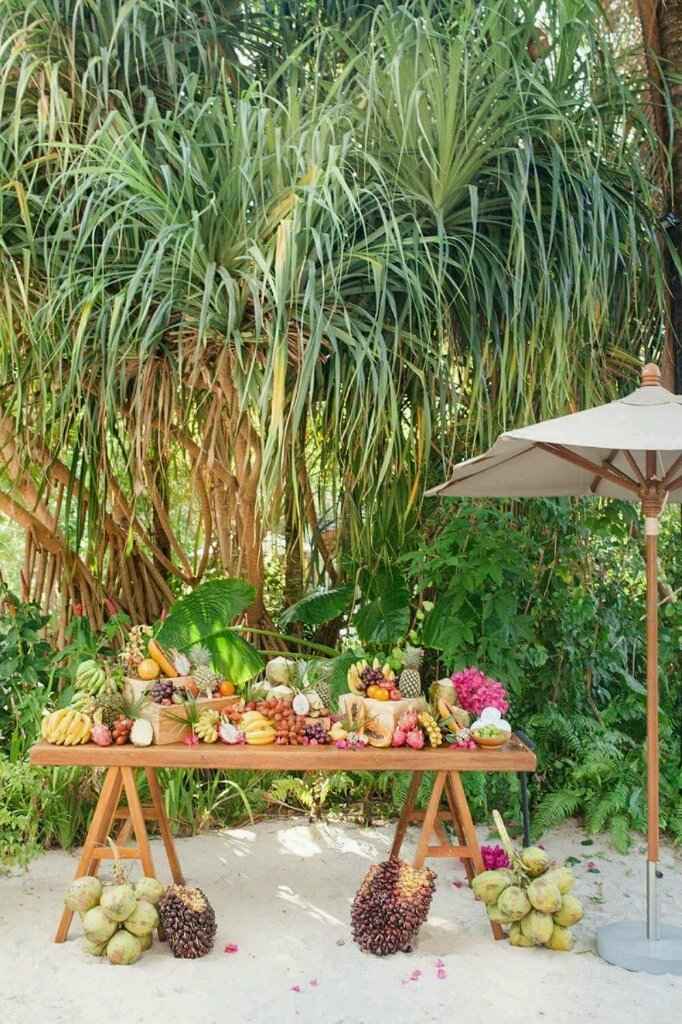 Inspiração do dia - tropical - 6