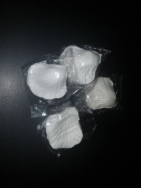 Checks 29 dias 😊 - 9