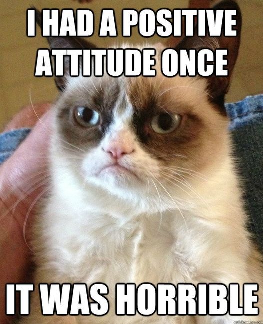 Grumpy Cat positivo