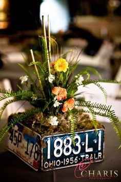 Decoração placas matrícula
