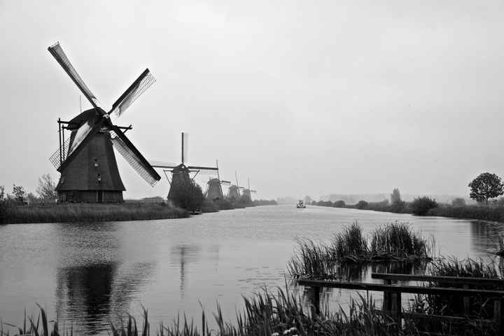 100 dias e passeio pela holanda - 5