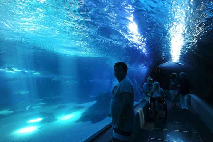 Maui ocean center