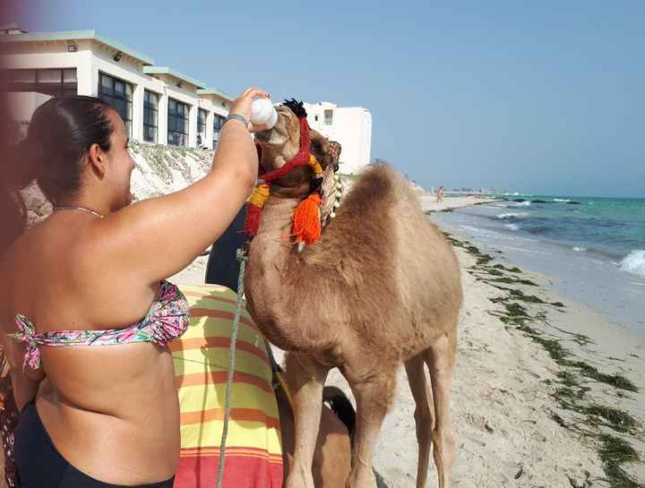 Djerba ou Hurghada? - 4