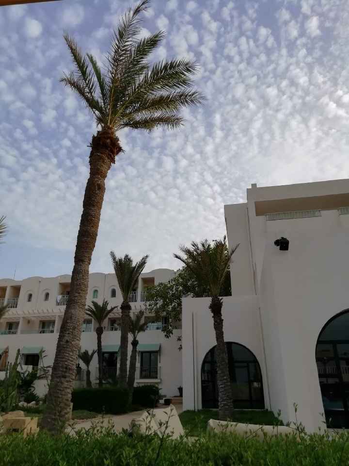 Djerba ou Hurghada? - 3