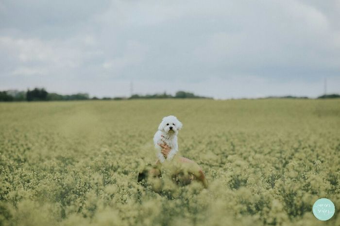 A nossa sessão de solteiros!! - 13