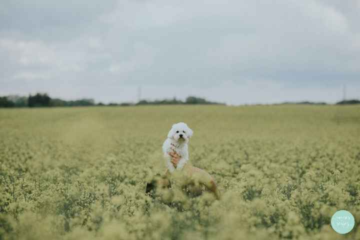 A nossa sessão de solteiros!! - 13