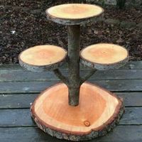 Base bolo 