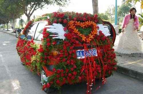 Ideia 11