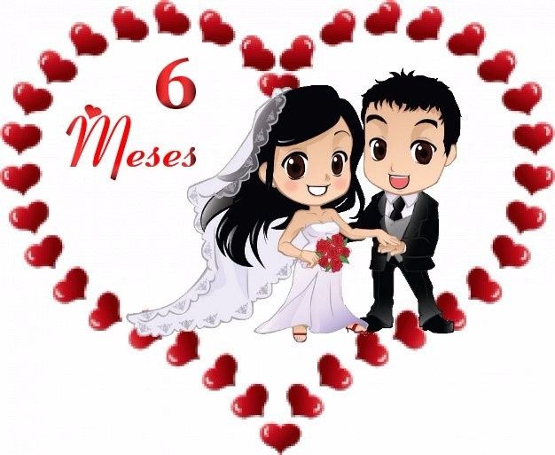 6 meses