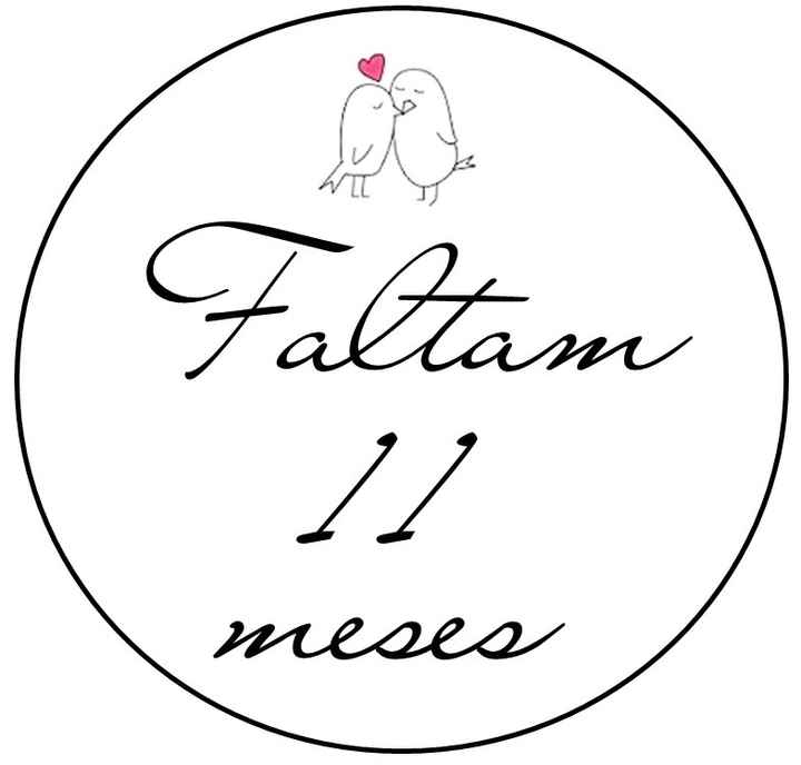 11 meses