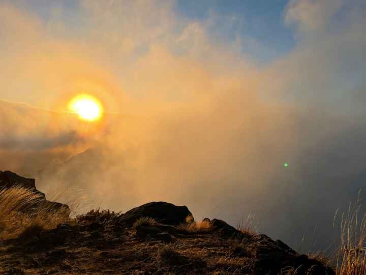 Onde é que te pediram em casamento? 💍 - 1