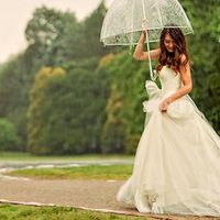 Elegante