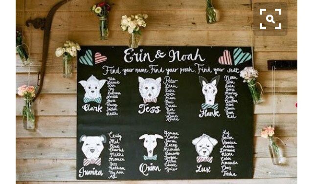 Tema escolhido! cÃes - 6