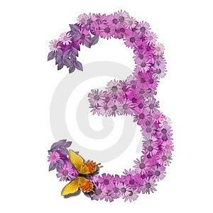 3 meses