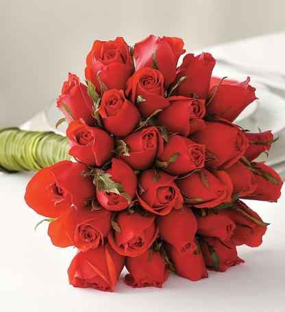 Rosas vermelhas!!! - 2