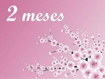 2 meses