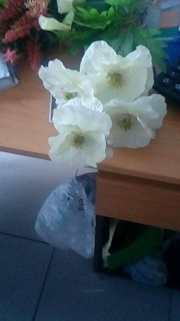 Flores - 4