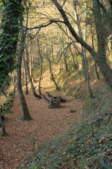 Cerimónia civil - 2