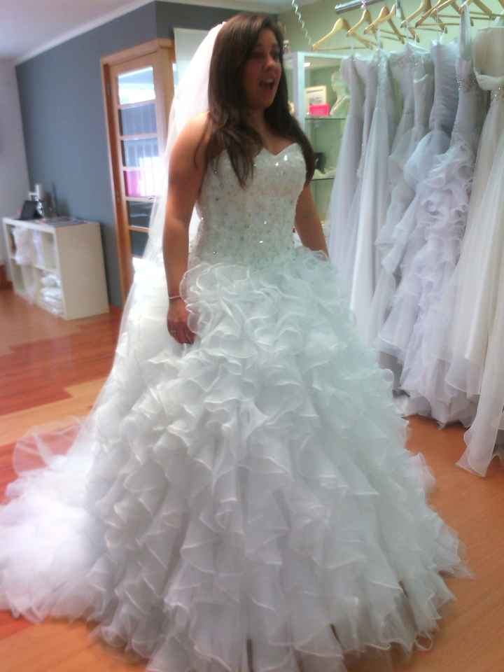 Escolhido o vestido  - 1