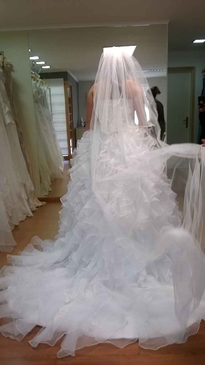 Escolhido o vestido  - 2