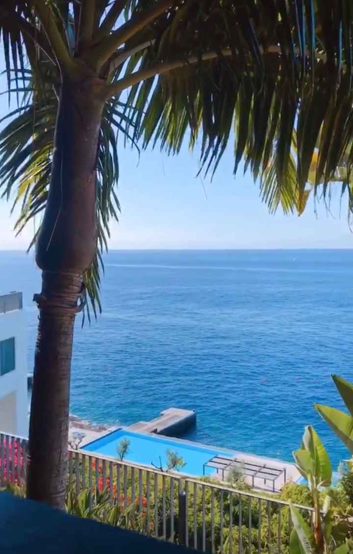 Lua de mel 🍯 Madeira - 1
