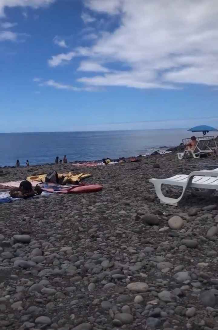 Lua de mel 🍯 Madeira - 3