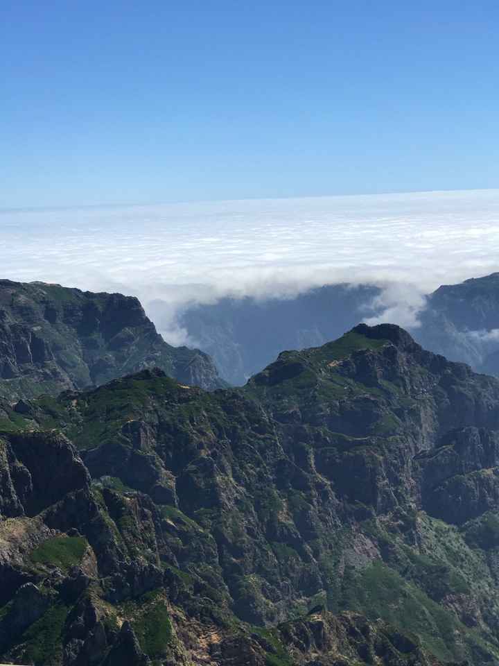 Lua de mel 🍯 Madeira - 10