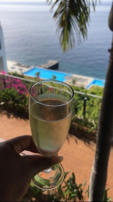 Lua de mel 🍯 Madeira 8