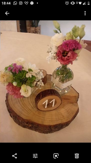 Plantas/flores de vaso para centros de mesa - 1