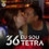 Rute