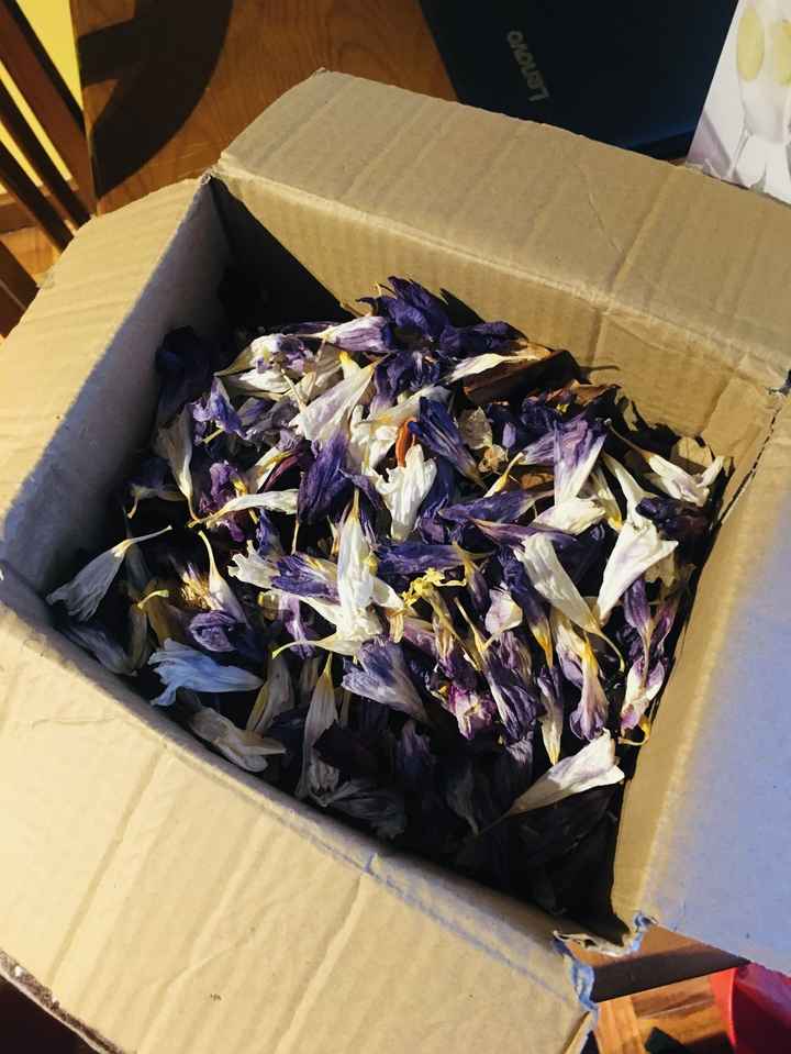Flores secas - Check ✅ - 2