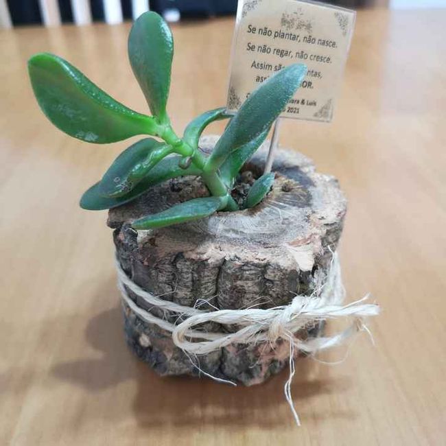 a saga das lembranças 1