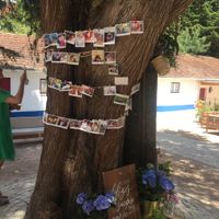 Fotografias