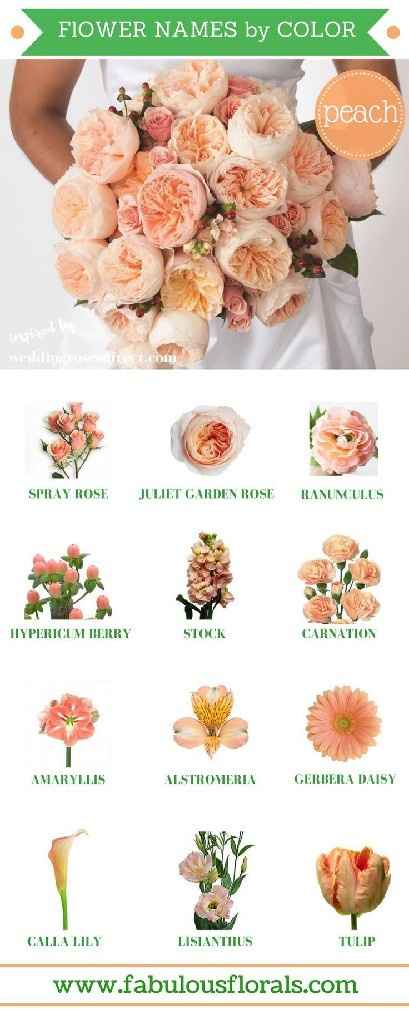 Flores, flores e muitas flores 🌹🌺🌼🌷🌻🏵️🌸💐 - 3