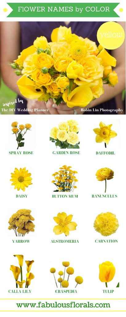 Flores, flores e muitas flores 🌹🌺🌼🌷🌻🏵️🌸💐 - 14