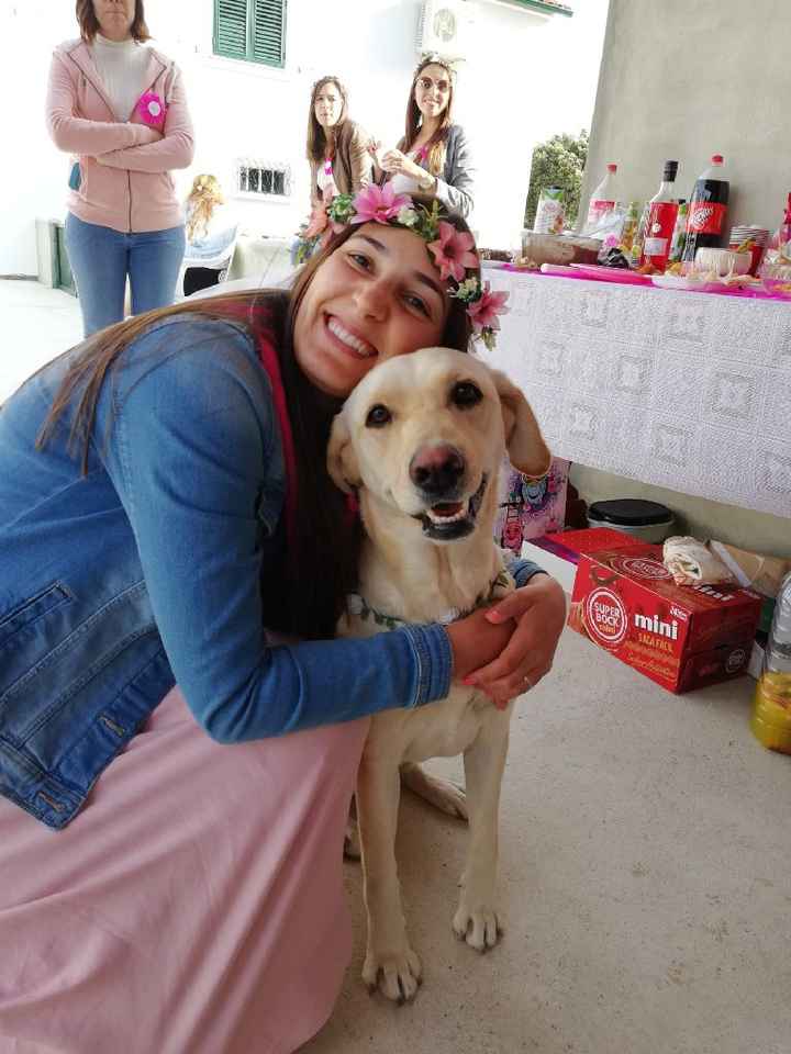 Em contagem decrescente.... Novidades 😍 - 9