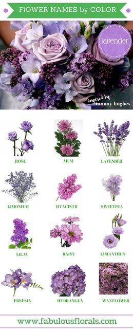 Flores, flores e muitas flores 🌹🌺🌼🌷🌻🏵️🌸💐 - 5