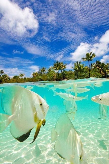 Lúcia - Quero a minha medalha de noiva viajada 🎖️👰🏖️ - 4