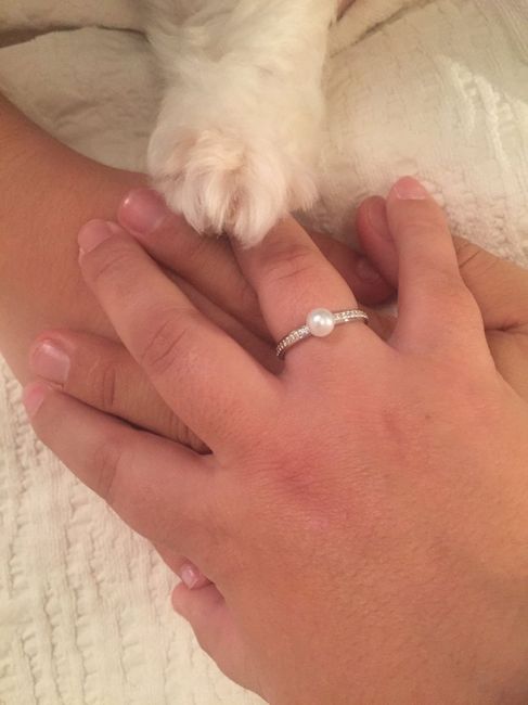 Alianças de casamento - glamira - 1