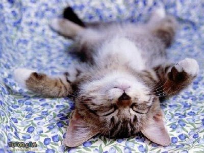 Relax