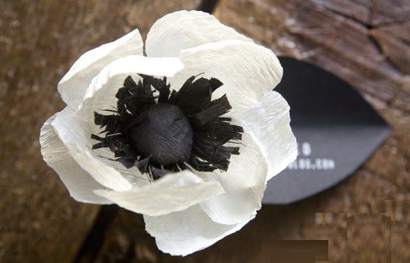 Flores de Papel