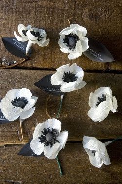 Flores de Papel