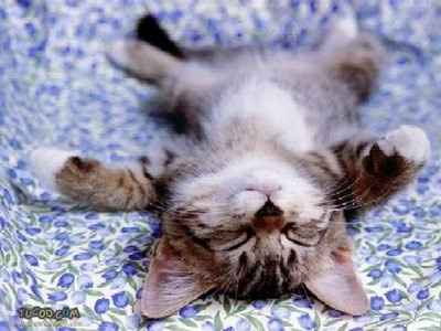 Relax