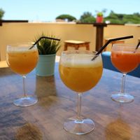 Despedida  de solteira - já  foi! - 4