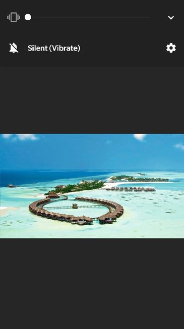 Sofia Gomes, Quero a minha medalha de noiva viajada 1