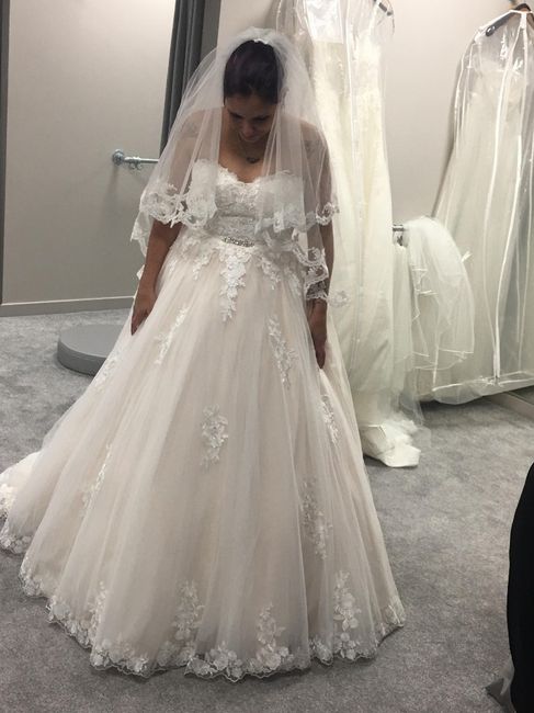 a escolha do meu vestido - 8